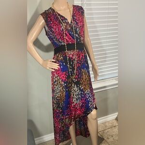 Multicolor Animal Print Women's Dress